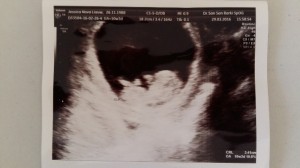 PicsArt_1460899311654