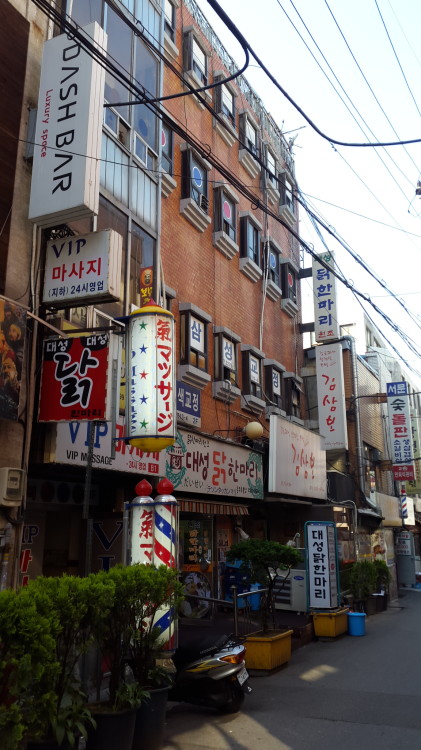 the back alley of our apartment in Chungmuro