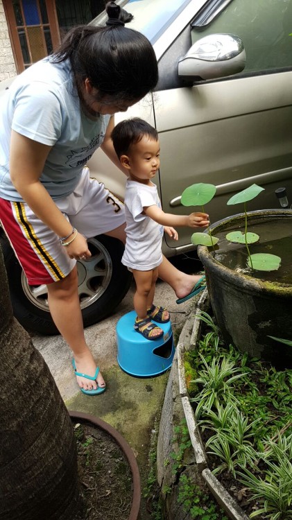 main di rumah Oma-co